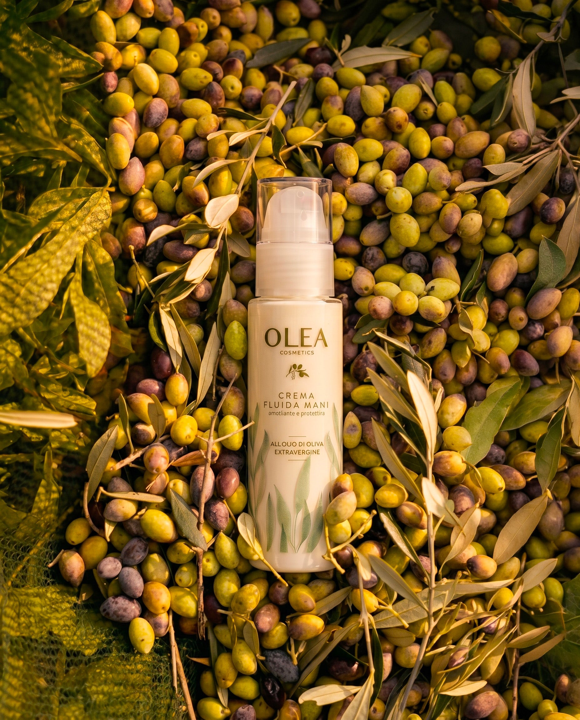 La crema fluida mani Olea Cosmetics adagiata su un letto di olive appena raccolte. Oleificio Fratelli Vieste