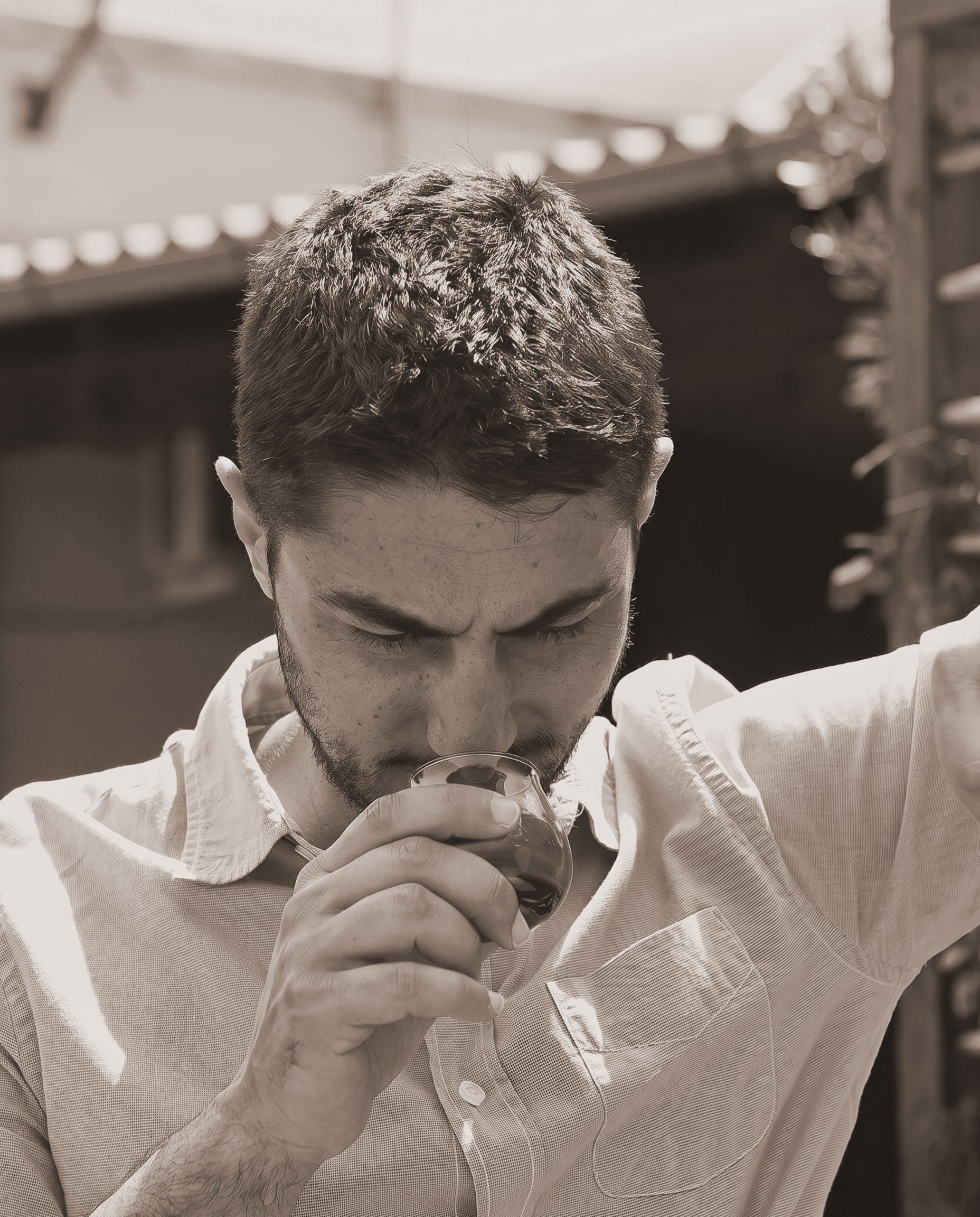 Raffaele Vieste valuta al naso un bicchiere da degustazione di olio extravergine. Oleificio Fratelli Vieste